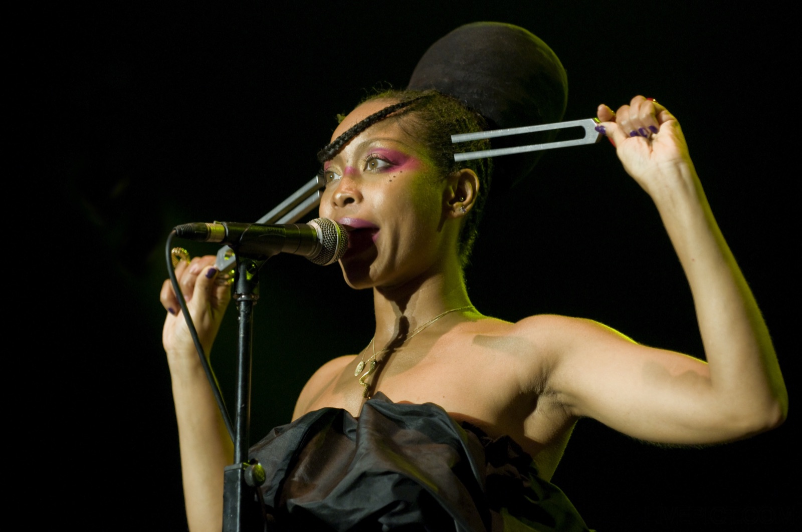 Erykah Badu performing live